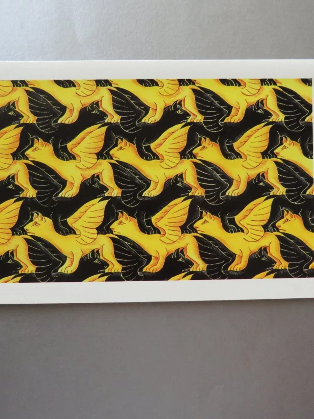 M.C. Escher Works in Color Set of 19 cards Museum Cards With Envelopes 4 Designs
